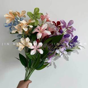 �羳���R�d���^�����m8ɫ���滨���Ҿӿ͏d���滨�ٻ����l