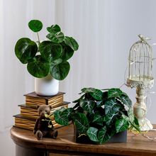 �پGֲ���滨�ٻ��Ӕ[�O�͏d�k���������b�Ʒ�[���ϙn�η���Gֲ