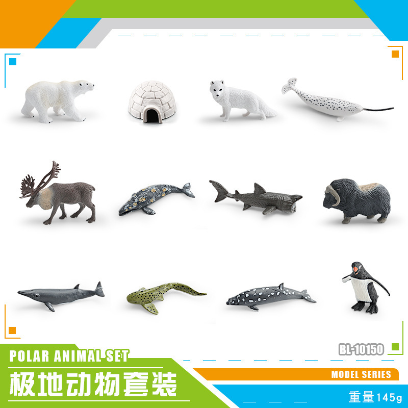 Exportación transfronteriza simulación modelo de animales polares mini animales de invierno ártico beluga morsa cognición educación temprana decoración