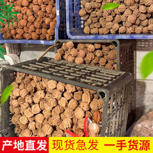 批发文玩核桃通货对子王勇官帽四座楼白狮子虎头通货直发非遗文化