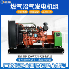 燃气发电机组200kw250kw300kw天然气沼气甲醇发电应急供电设备