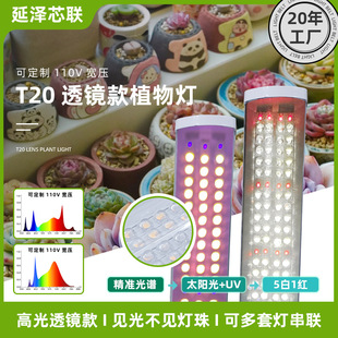 ֲ�����L��ȫ͸�Rȫ���V������ɫ�҃ȴ����̫ꖹ����绨���a���