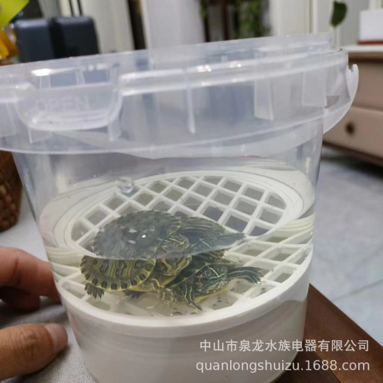 Caja de aislamiento de tortuga caja de alimentación huevo tortuga plántula Caja de aislamiento de plántulas tortuga solo cuidado del cabello caja de color anti-Bite Fight blanco caja transparente