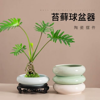 绿植盆栽苔藓球盆器简约陶瓷桌面大口径造景盆办公室摆件带托盘