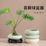 陶瓷桌面大口径办公室盆器