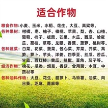 ����~��ʷ����L��ɰ׷���r�����r�Û_ʩ�ʻ�����ɰ��΢��Ԫ��