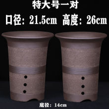 �m�����m����������⻨����ɰ����G�}��������m���҃��B�����l