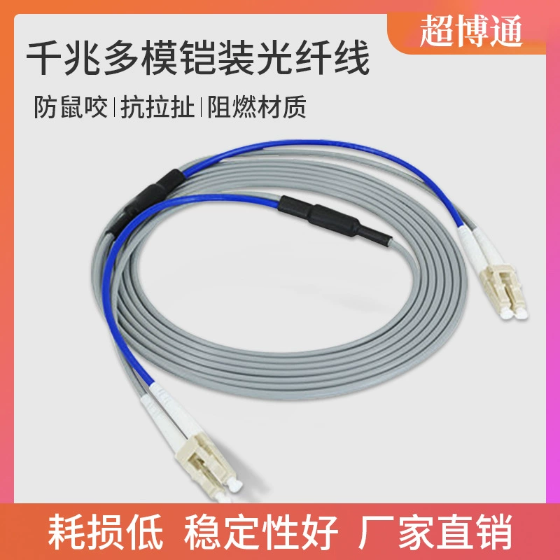 Производитель в наличии Гигабитная многорежимная двухъядерная армированная оптоволоконная Перемычка LC-SC-FC-ST Защитная от растяжения бронированная косичка с защитой от мыши