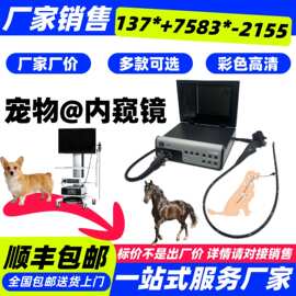 动物电子内窥镜-宠物胃肠道内窥镜 宠物内窥镜厂家 腹腔镜
