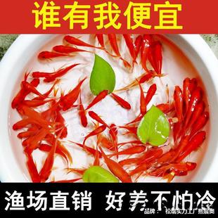 �^�p�~���~С�͵�ˮ�ͻ���ˮ���B���~�w���B�J������~�t�a�~��