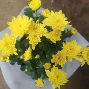 �������l؛���m���M�ھջ����ͺ��׻��ļ��_�������҃��̨�Gֲ