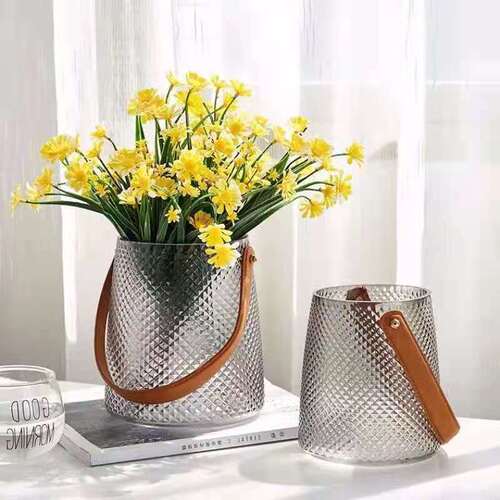 Nordic creative simple glass vase transparent decorative ornaments light luxury living room flower arrangement flower water care handheld flower device