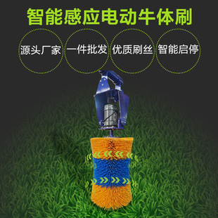 ��ţ�Bֳ��ţ�wֹ�Wˢ��ţ�坍��Ħˢȫ�Ԅ����ܸБ�ʽ늄�ţ�wˢ