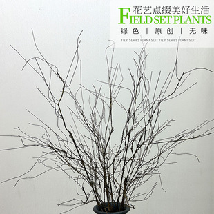 ������ٿݘ�֦�ٗl�b�ɺ��֦�҃����ټپGֲ�ڒ��b��ٻ���