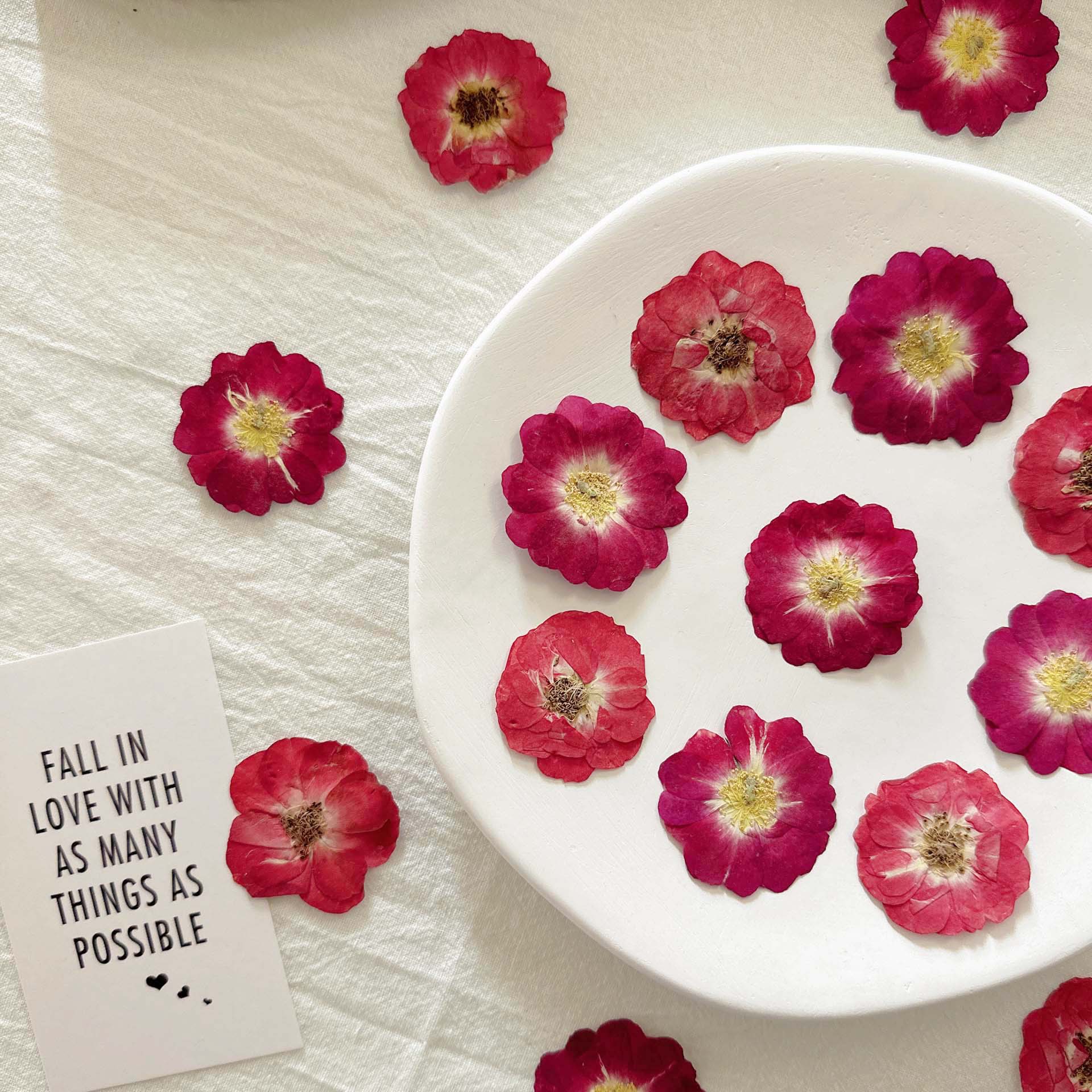 玫瑰花壓花 diy材料包樹脂滴膠水晶擺件耳環項鍊髮簪首飾各種手工