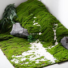 ����̦�\�پGֲ�쾰ͥԺ���B΢���^����b�����̦�����ƺ�[��