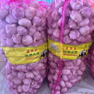 ����Դ�^���S��������ӡ���Ј����� 4����5����6����