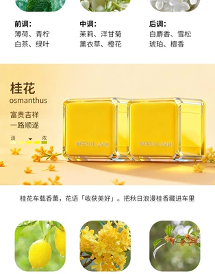 for Car Interior Odor Removal – Car Perfume Aromatherapy - osmanthus