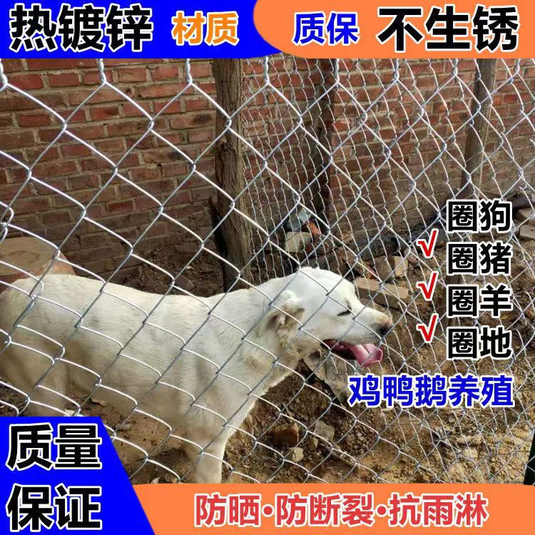 勾花网 镀锌养殖勾花网 边坡防护网菱形金属网镀锌勾花喷浆挂网