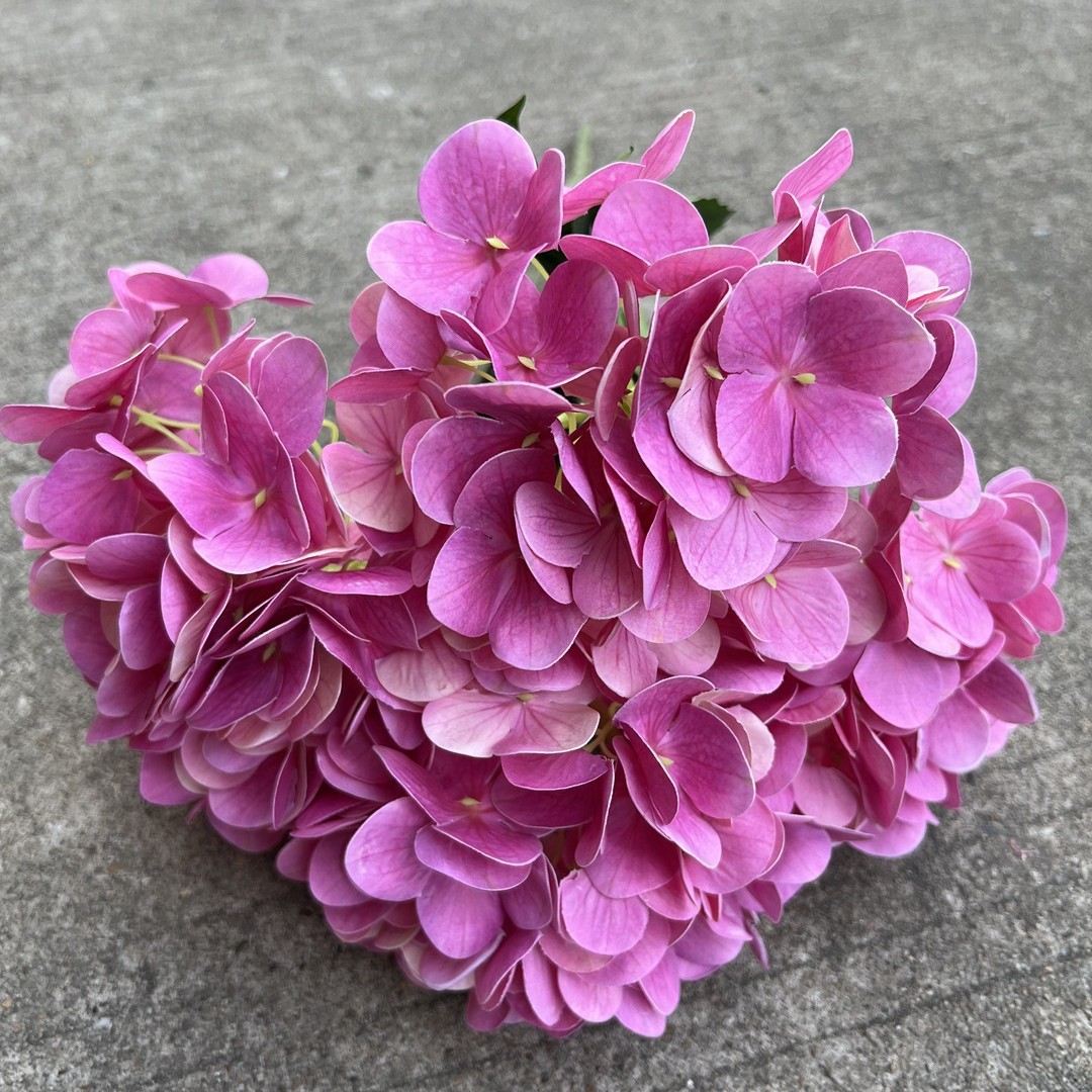 5-cabeza 3D sensación Hortensia Rosa Rojo