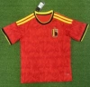 2026 Belgium home game