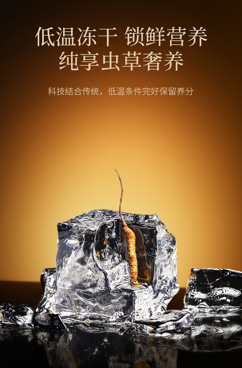 Premium Cordyceps Gift Box Dong Chong Xia Cao 5g Wild-Harvested Qinghai Origin Whole Stems specifications