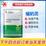 兽用快速正品母猪添加剂