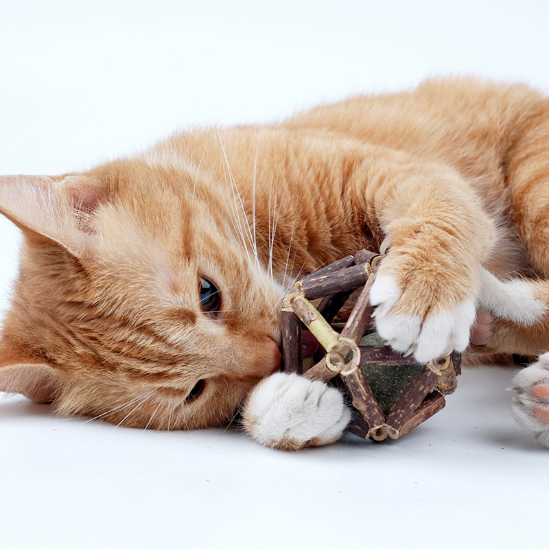 Игрушки для домашних животных Polygonum Hydroxylocum Изысканный мяч Игрушки для кошек Кошачья мята Мяч Кошка Самостоятельная Интерактивная Устойчивая к укусам Игрушка для чистки зубов