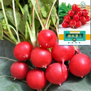 }NӼtƤˮ}̨rҲˈ@߲˷Nӹ˾