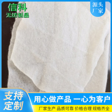 Sa oᘴ ^V ᘴ̿՚^V