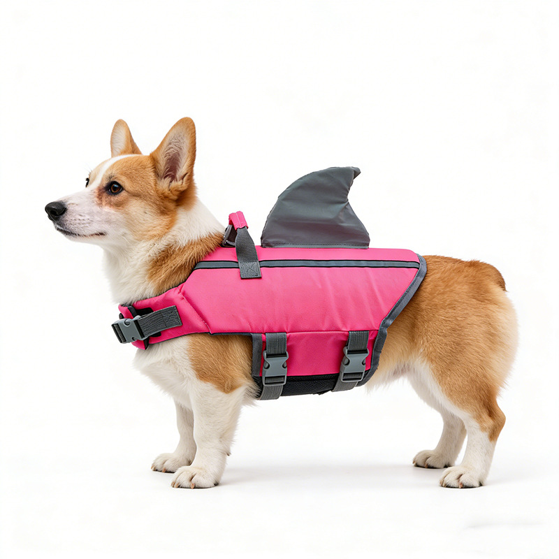 Shark Fin Dog Swimsuit
