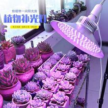 LEDȫ���V��������a������ò�ݮ������؟��҃��ֲ̨�����L��