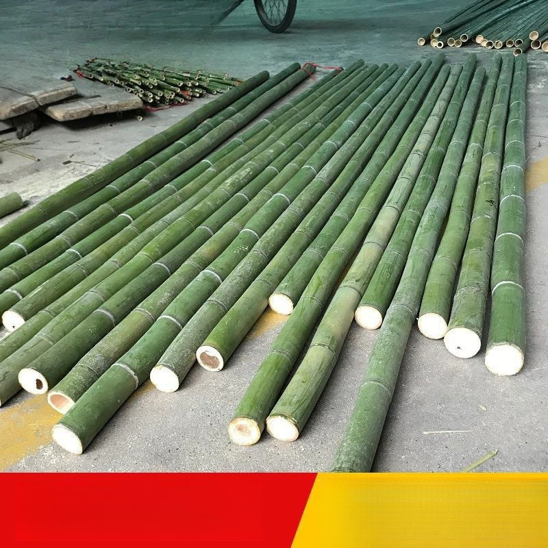 ☆ Decoration and Renovation of Thick and Thin Green Bamboo, Dancing Bamboo Poles, Green Bamboo Poles, Partitions, Indoor and Outdoor Bamboo Poles, Bamboo Material