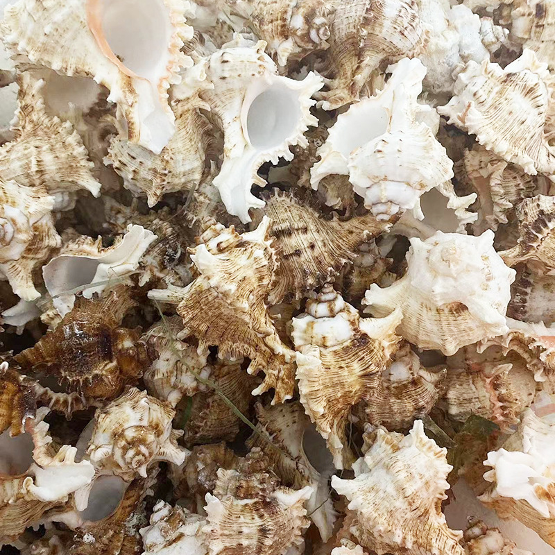 303d1fef71ec77f00ebc9ab95d754f