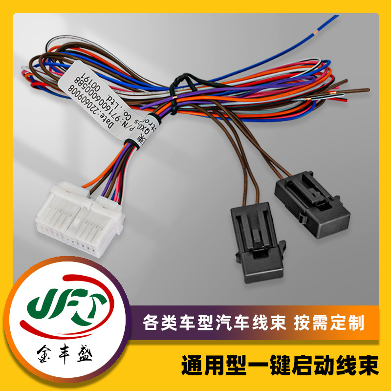 Universal Car One-Button Start Wiring Harness, New Energy Vehicle Wiring Harness, Electric Vehicle Terminal Cable, Golf Car Wiring Harness