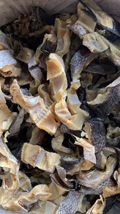 ���~�l ���~�l ���~�l ؔ�~�l չ���ؔ�����~�l�~�����l