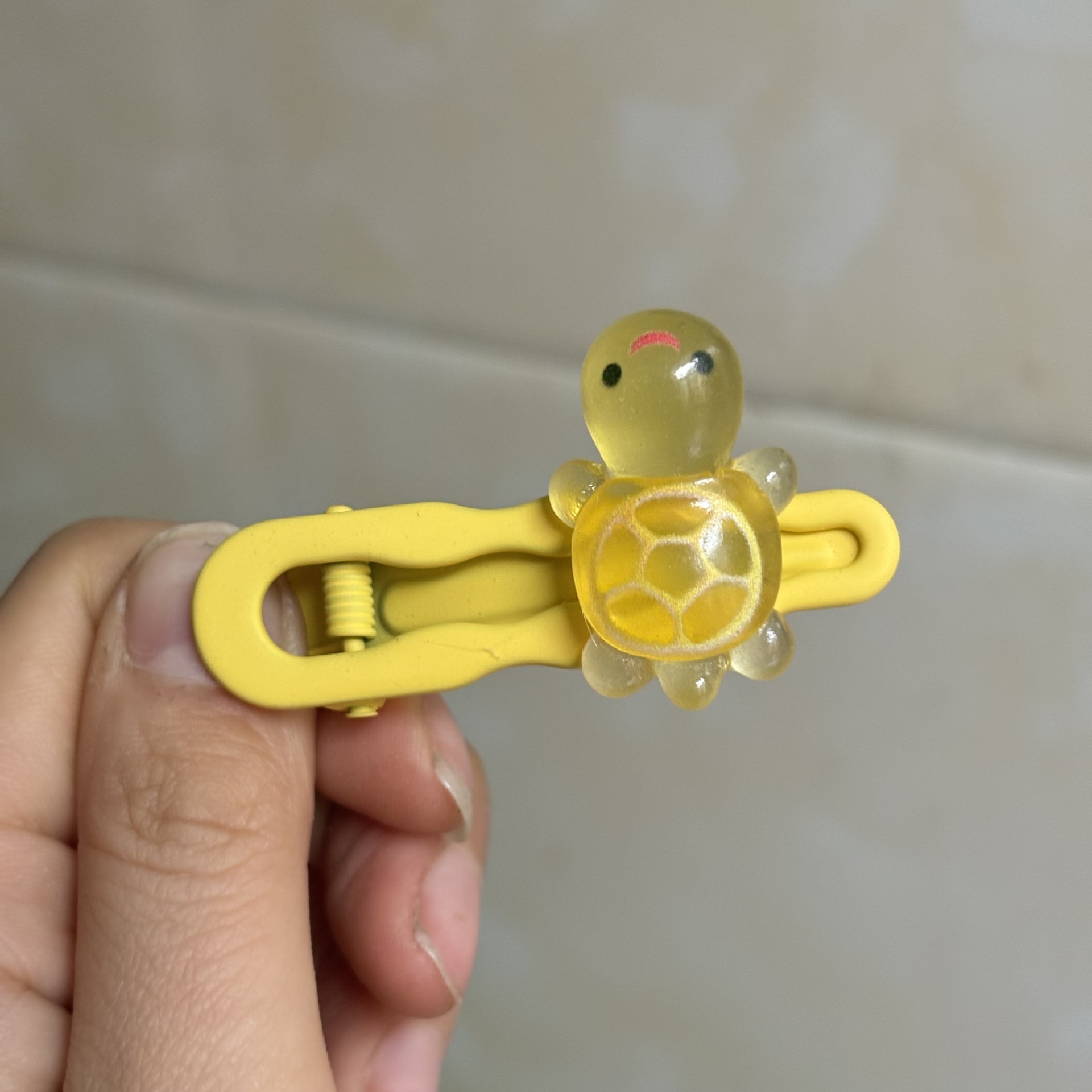 인터넷 연예인 꼬마 거북이 황,