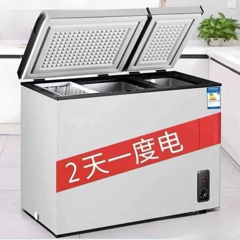 No Frost Small Freezer 100/200 Liters No Frost Household Small Refrigerated Freezer Commercial Energy Saving