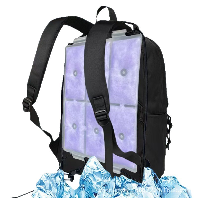 スポット 6 グリッドバックパックアイスパッド冷却アイスパッドスポーツバックパックアイスパッド屋外ハイキングと登山特別な冷却アイスパッチ|undefined