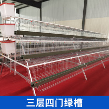 定制育雏笼三层四层立式阶梯蛋鸡笼肉鸡笼养殖养鸡设备