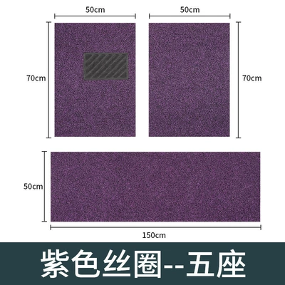 Ayaqaltılar (Kovriklər) – Universal car mats waterproof and - main-driver-purple-06-thick