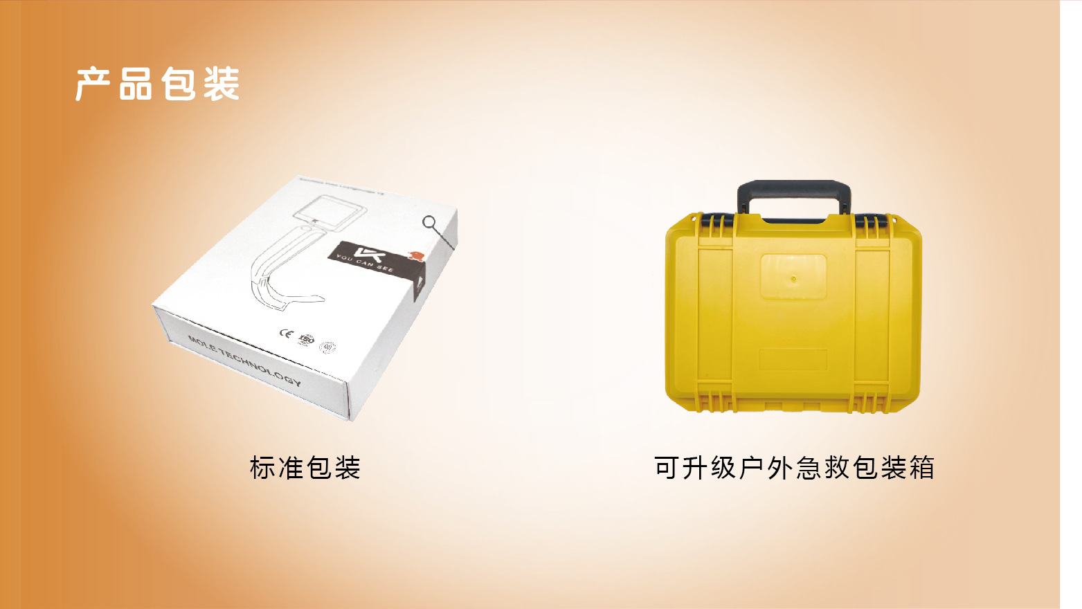 Landing Page-IL_Orange-09