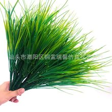 ���R�d�����7�����ϻ�����ֲ� �Gֲ�����Ʒ����廨�@ˇ�b�