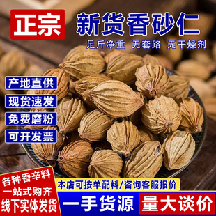 ��ɰ�������Ĵ���ɰ����ș�Ĵ�ɰ����ɰ����ɰ����ɳ�����{�����l