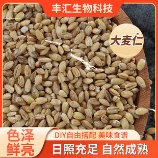 �S�ҬF؛����ȥƤ������ �ˌ���ԭ�����ʃr�񌍻�