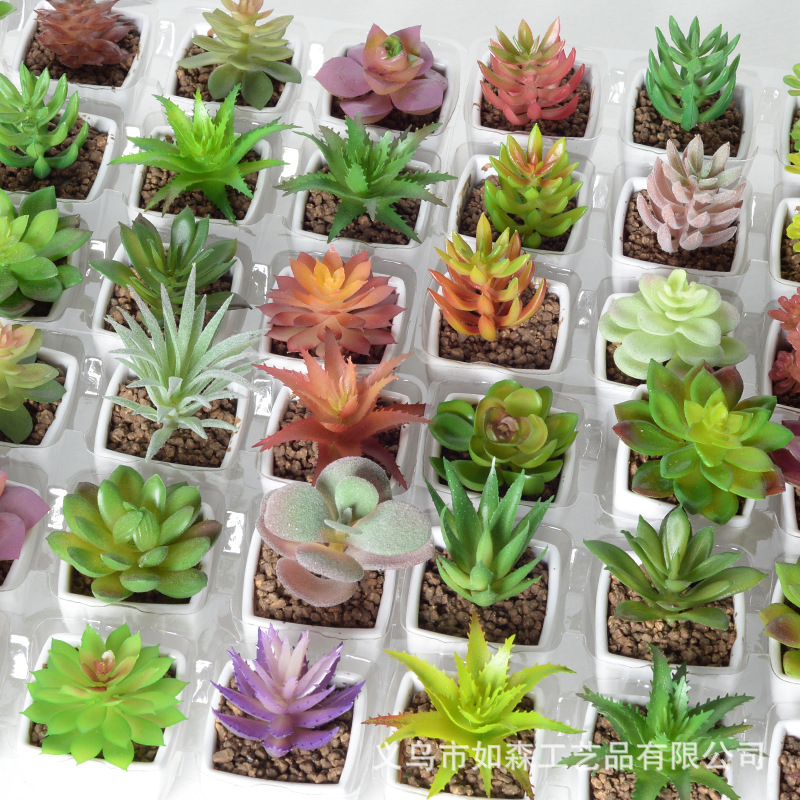 Simulación de plástico carnoso bonsai flor falsa combinación oficina interior escritorio plantas verdes pequeños adornos plantas artificiales al por mayor image 3