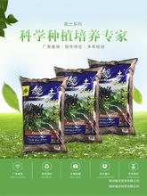 ���޼�ͥ�@ˇͨ���n������G�}����Nֲ���B���N���߹����àI�B��