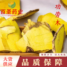 功劳木中草药土黄柏十大功劳 木黄连 当季新货 产地货源 量大从优