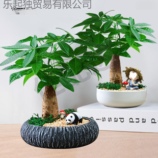 lֲؔ҃k[Gֲֲؔ￨ͨС