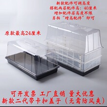 ���B������������P�Ӹ����b���w����ͥԺ�@ˇǤ�屣�؝�����ů��